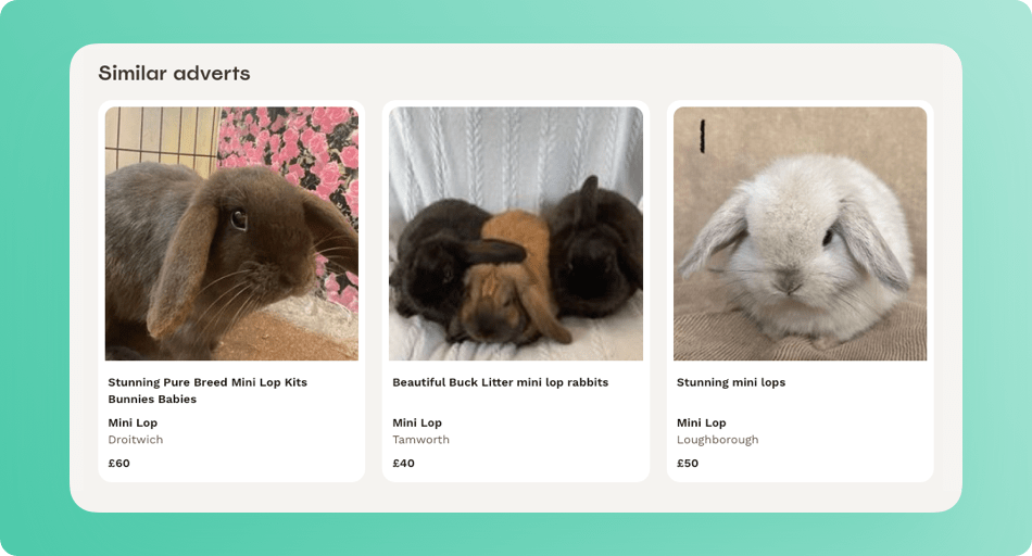 pet-media-group