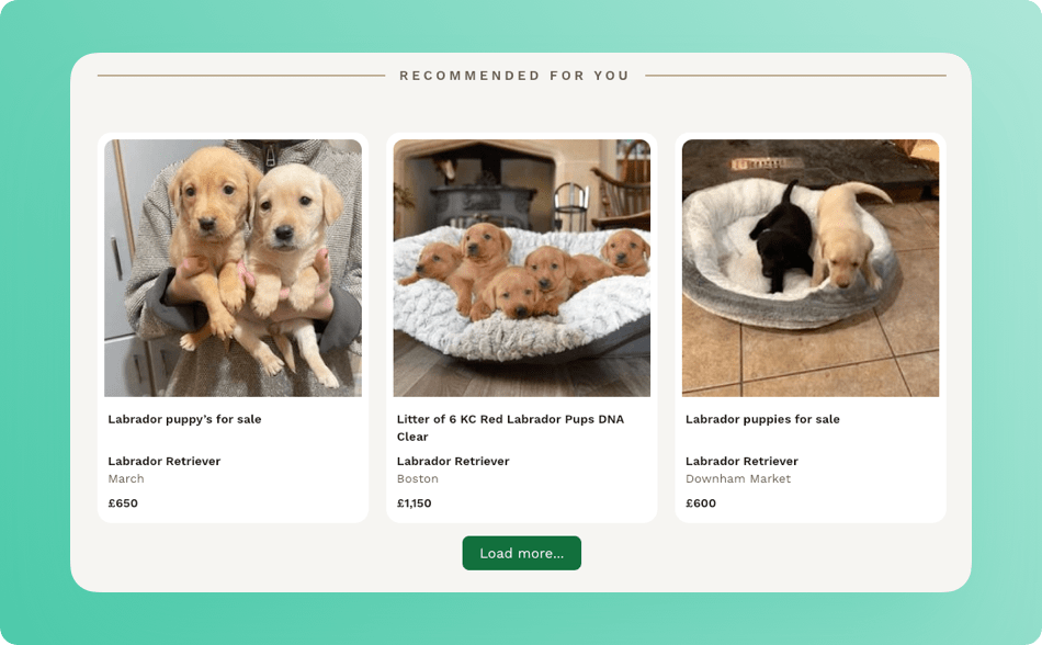 pet-media-group