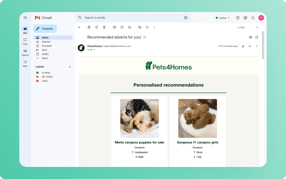 pet-media-group