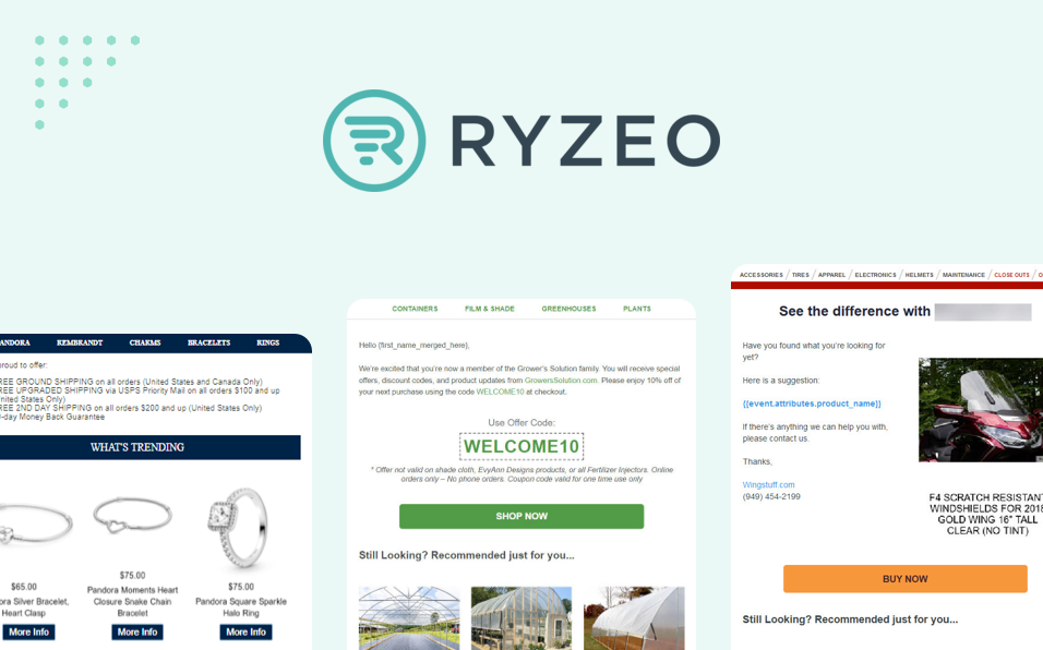 Recombee in E-mail Marketing: A Partner Success Story with Ryzeo
